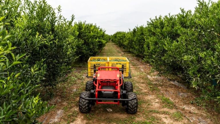 森林里的卡车 AI 生成的内容可能不正确。