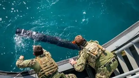 人在游泳

AI 生成的内容可能不正确。